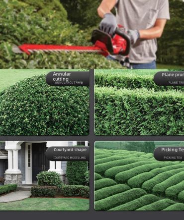 2 c40458c9 ef58 43a9 9d1c 2bc22e2c39c4