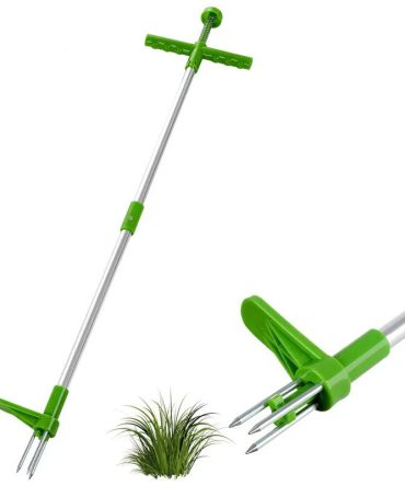 5 c8b18088 6457 4bb6 bfee a8e6ea69c7c1