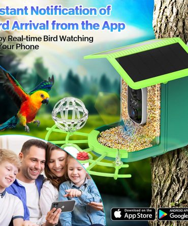 Main 03 34fc421c dcdb 4a42 b0a6 6319570af3f9